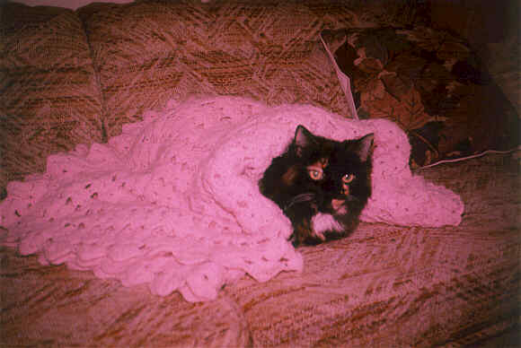Li's Pink Blanket